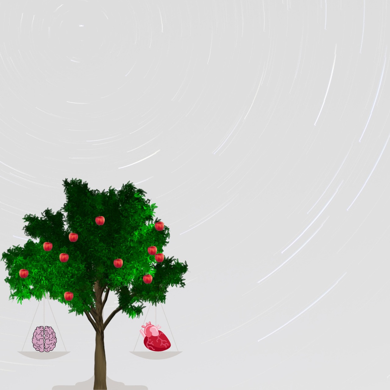 d&eacute;couvrez tout ce qu'il faut savoir sur l'equity : d&eacute;finition, importance dans les entreprises, et comment elle influence la r&eacute;partition du capital et la valeur des actions.