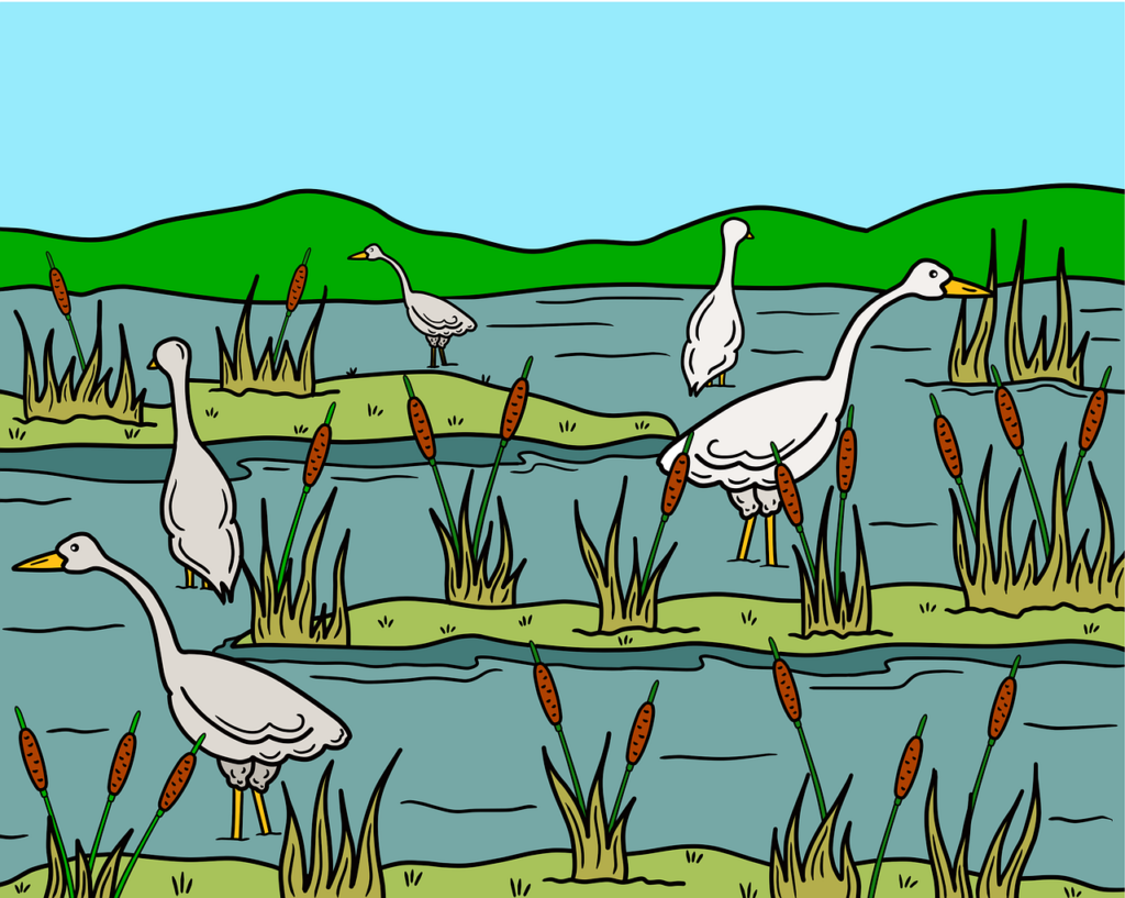 d&eacute;couvrez l'&eacute;cosyst&egrave;me des startups : un environnement dynamique o&ugrave; l'innovation, les entrepreneurs et les investisseurs se rencontrent pour cr&eacute;er et d&eacute;velopper des entreprises prometteuses.