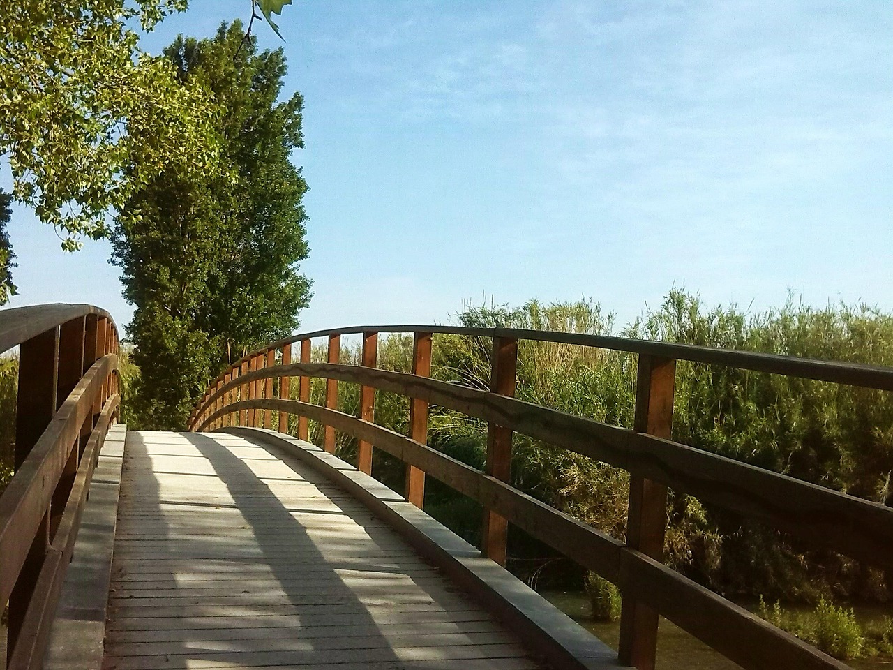 Home bridge, tree, path, entrepreneurship, landscape, nature, park, spring, begin, entrepreneurship, entrepreneurship, entrepreneurship, entrepreneurship, entrepreneurship