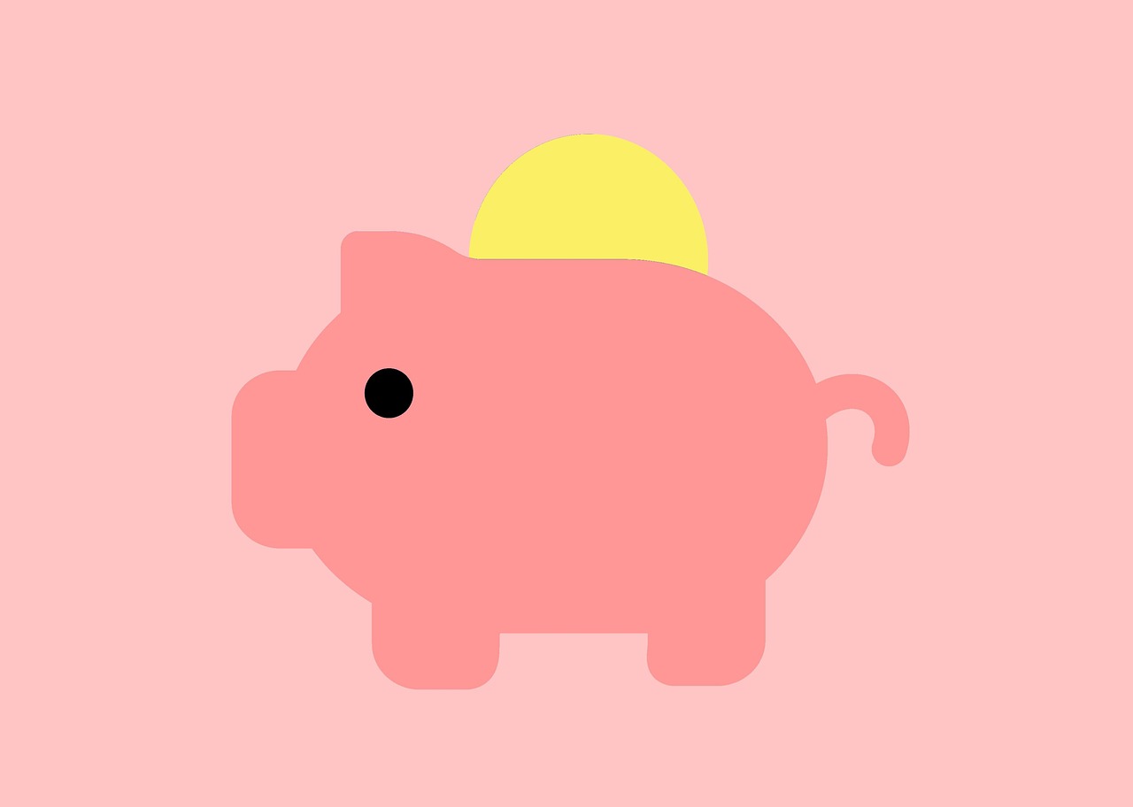 Pourquoi devriez-vous séparer vos finances personnelles et professionnelles dès le départ ?